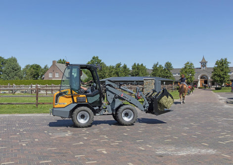 g2700epelikaanbakgesnedentanden[2]